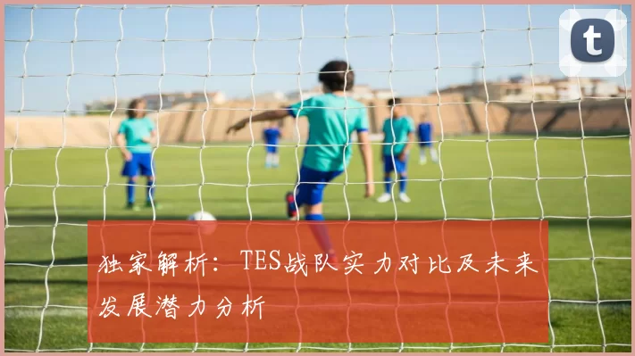 独家解析：TES战队实力对比及未来发展潜力分析