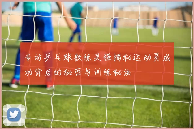 专访乒乓球教练吴强揭秘运动员成功背后的秘密与训练秘诀