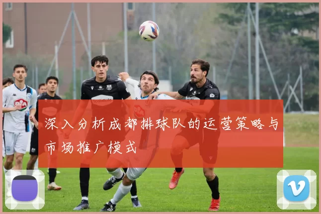 深入分析成都排球队的运营策略与市场推广模式