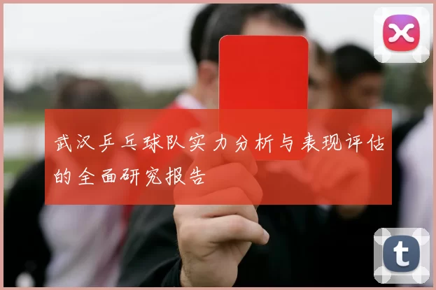 武汉乒乓球队实力分析与表现评估的全面研究报告