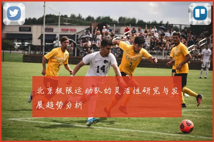 北京极限运动队的灵活性研究与发展趋势分析