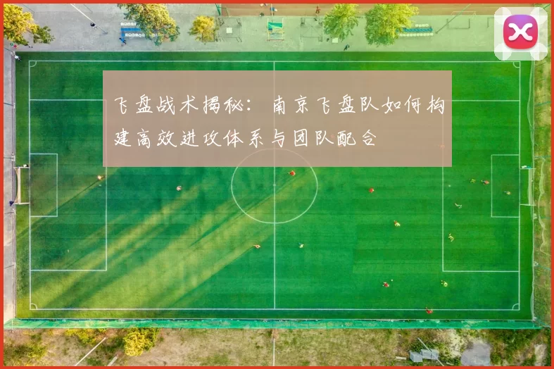 飞盘战术揭秘：南京飞盘队如何构建高效进攻体系与团队配合