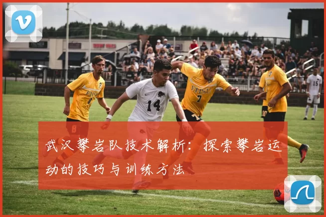 武汉攀岩队技术解析：探索攀岩运动的技巧与训练方法