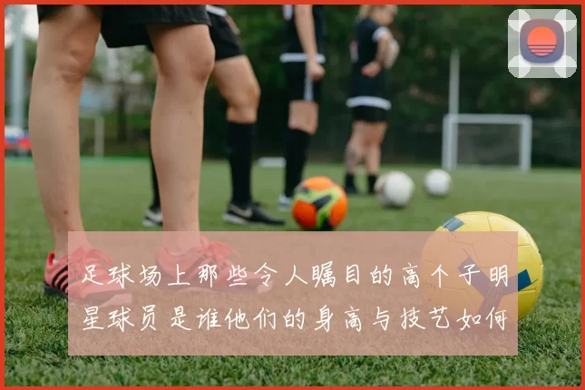 足球场上那些令人瞩目的高个子明星球员是谁他们的身高与技艺如何相辅相成