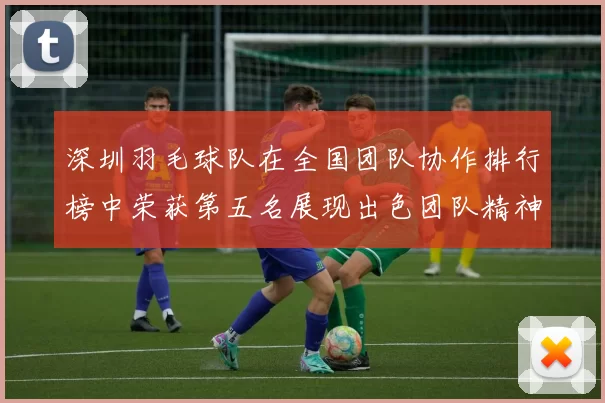 深圳羽毛球队在全国团队协作排行榜中荣获第五名展现出色团队精神与实力
