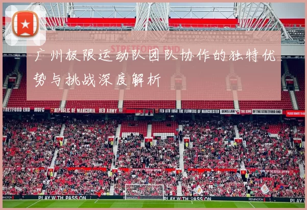 广州极限运动队团队协作的独特优势与挑战深度解析