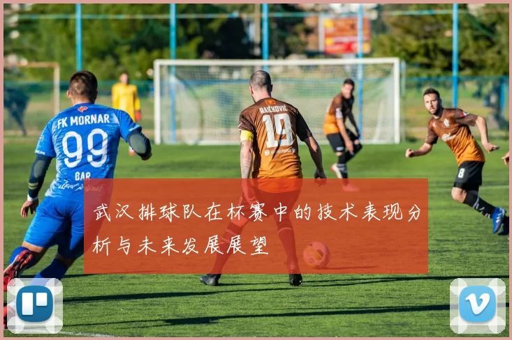 武汉排球队在杯赛中的技术表现分析与未来发展展望