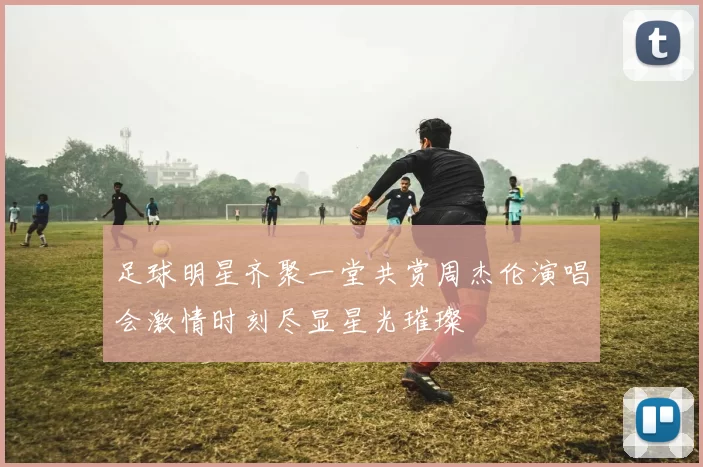 足球明星齐聚一堂共赏周杰伦演唱会激情时刻尽显星光璀璨