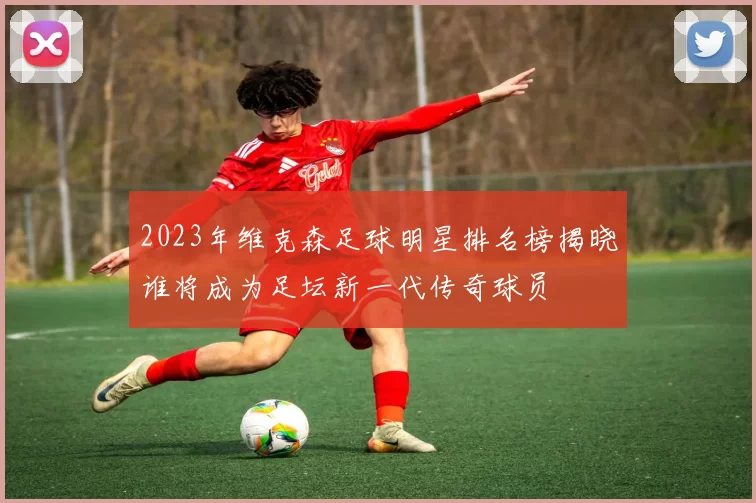 2023年维克森足球明星排名榜揭晓谁将成为足坛新一代传奇球员