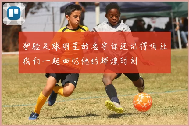 驴脸足球明星的名字你还记得吗让我们一起回忆他的辉煌时刻