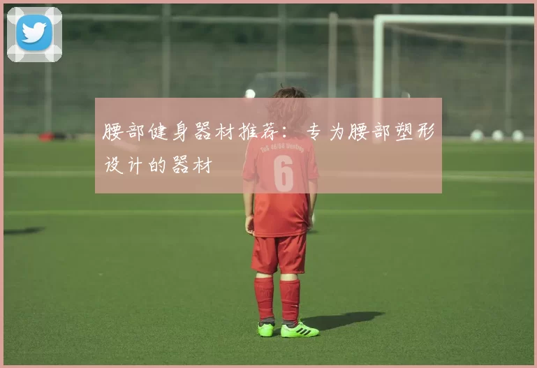 腰部健身器材推荐：专为腰部塑形设计的器材