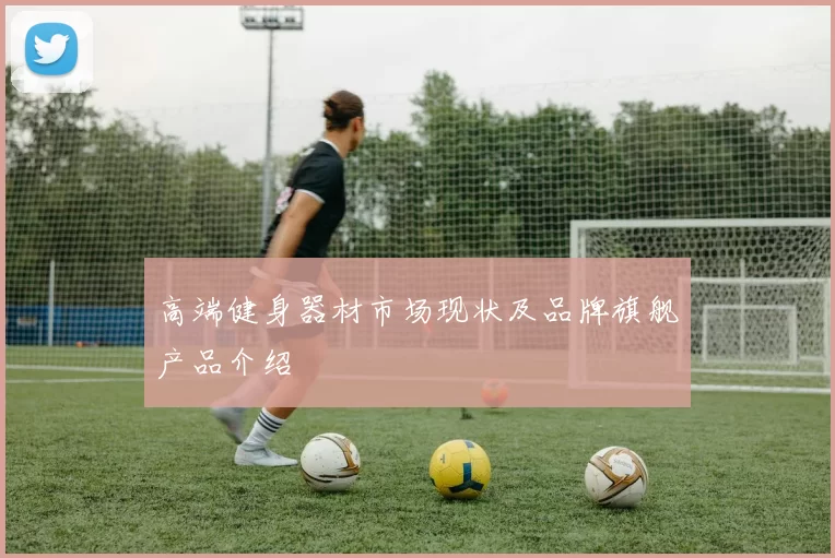 高端健身器材市场现状及品牌旗舰产品介绍