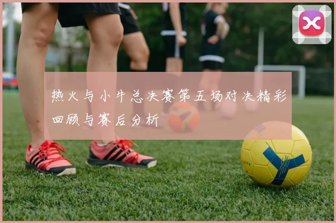 热火与小牛总决赛第五场对决精彩回顾与赛后分析