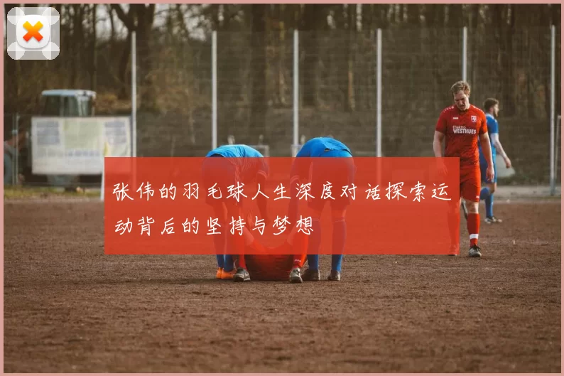 张伟的羽毛球人生深度对话探索运动背后的坚持与梦想