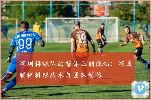 深圳排球队的整体压制探秘：深度解析排球战术与团队协作