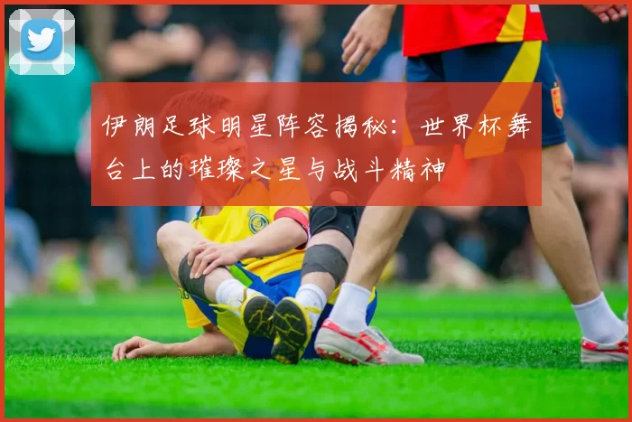 伊朗足球明星阵容揭秘：世界杯舞台上的璀璨之星与战斗精神