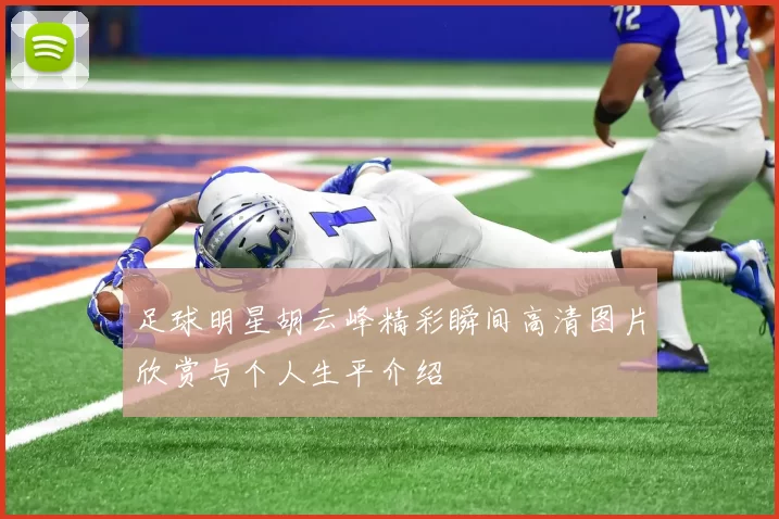 足球明星胡云峰精彩瞬间高清图片欣赏与个人生平介绍