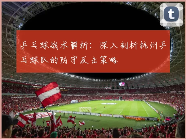 乒乓球战术解析：深入剖析杭州乒乓球队的防守反击策略