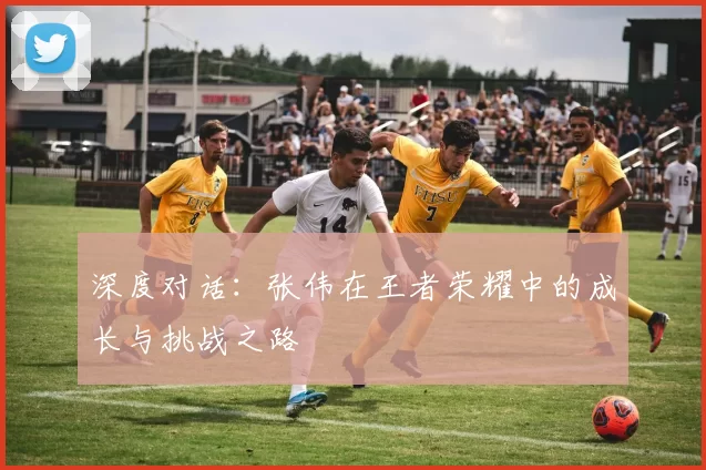 深度对话：张伟在王者荣耀中的成长与挑战之路