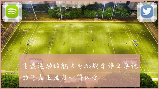 飞盘运动的魅力与挑战李伟分享他的飞盘生涯与心得体会