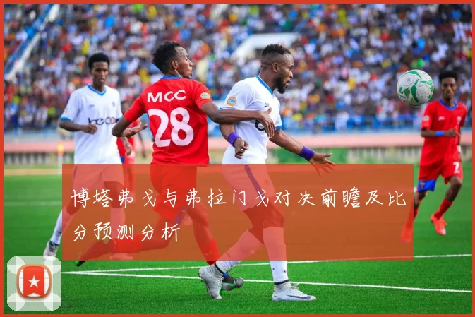 博塔弗戈与弗拉门戈对决前瞻及比分预测分析