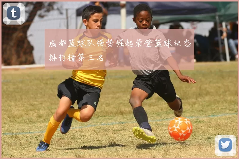 成都篮球队强势崛起荣登篮球状态排行榜第三名