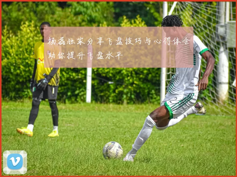 杨磊独家分享飞盘技巧与心得体会助你提升飞盘水平